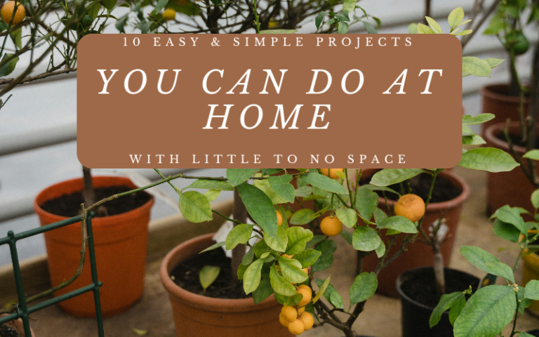 10 Easy & Simple Projects You Can Do At Home with Little to No Space