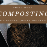 Small Scale Composting on a Budget? (MAYBE FOR FREE?!)