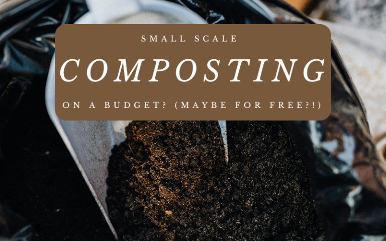 Small Scale Composting on a Budget? (MAYBE FOR FREE?!)