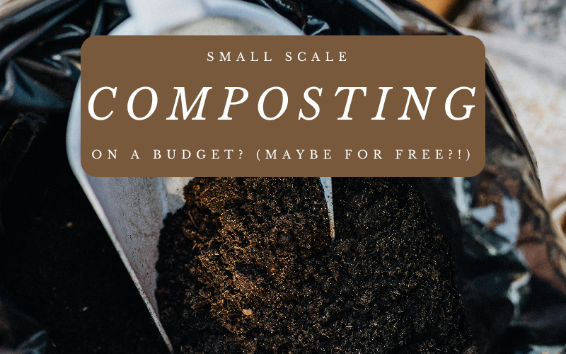 Read more about the article Small Scale Composting on a Budget? (MAYBE FOR FREE?!)