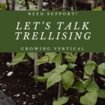 Need Support? Let’s Talk Trellising: Growing Vertical