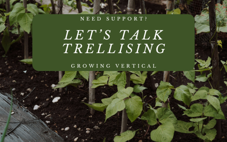 Need Support? Let’s Talk Trellising: Growing Vertical
