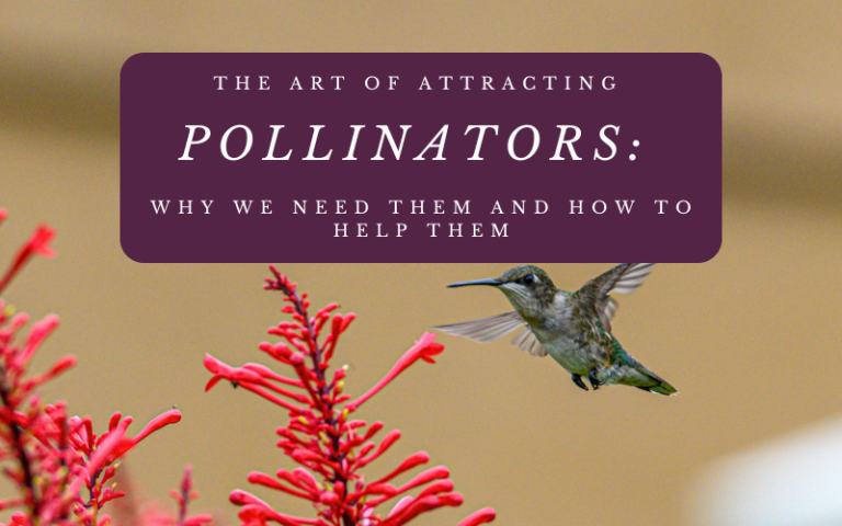 The Art of Attracting Pollinators: Why We Need Them and How to Help Them