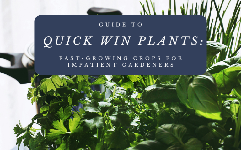 Guide to Quick Win Plants: Fast-Growing Crops for Impatient Gardeners