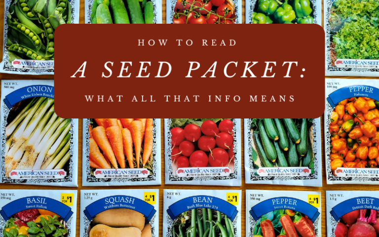 How to Read a Seed Packet: What All That Info Means