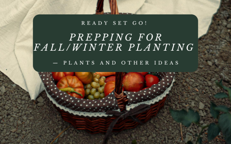 Ready Set Go! Prepping for Fall/Winter Planting — Plants and Other Ideas