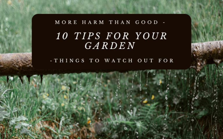 More Harm Than Good – 10 Tips For Your Garden -Things To Watch Out For