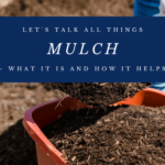 Let’s Talk All Things Mulch – What It Is And How It Helps