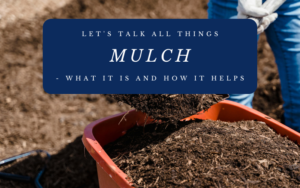 Read more about the article Let’s Talk All Things Mulch – What It Is And How It Helps