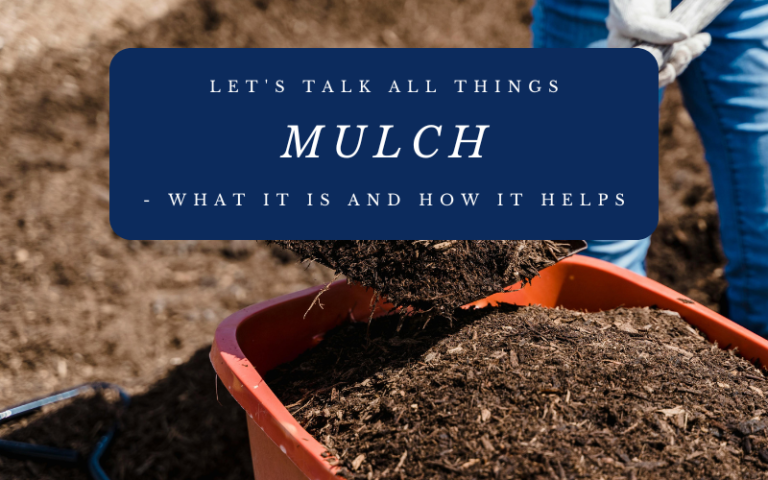 Let’s Talk All Things Mulch – What It Is And How It Helps