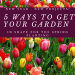 New Year – New Projects! 5 Ways To Get Your Garden In Shape For The Spring Planting