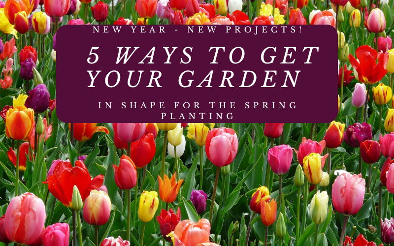 You are currently viewing New Year – New Projects! 5 Ways To Get Your Garden In Shape For The Spring Planting