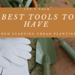 Let’s Talk Best Tools to Have When Starting Urban Planting!