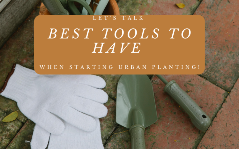 Let’s Talk Best Tools to Have When Starting Urban Planting!