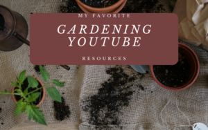 Read more about the article My Favorite Gardening YouTube Resources